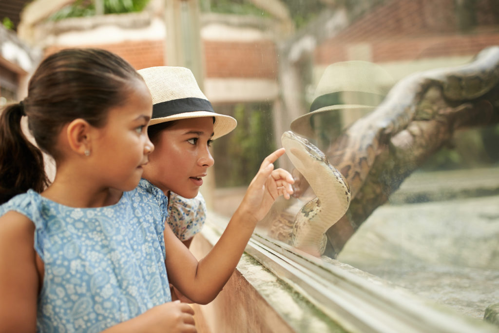 Mother and daughter pointing at python in terrarium