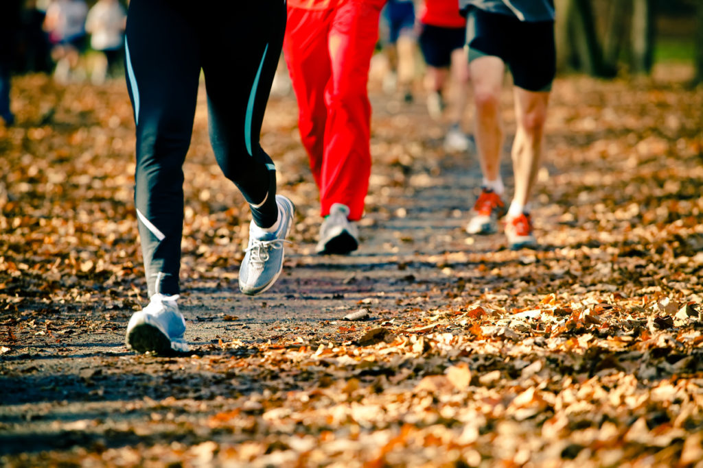 people running along a park path in the fall
